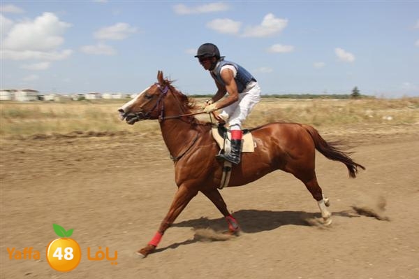 khoyoul lud 0610 (37).JPG